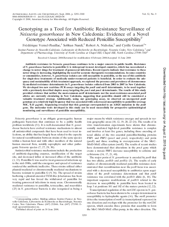 Neisseria gonorrhoeae essay image