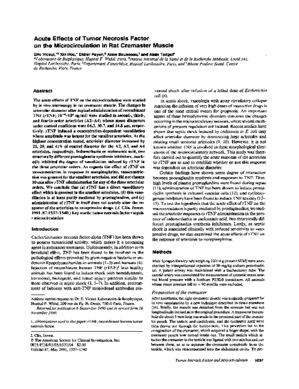 (PDF) Acute effects of tumor necrosis factor on the microcirculation in ...
