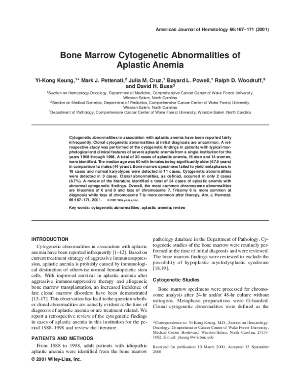 Bone marrow essays 05 image