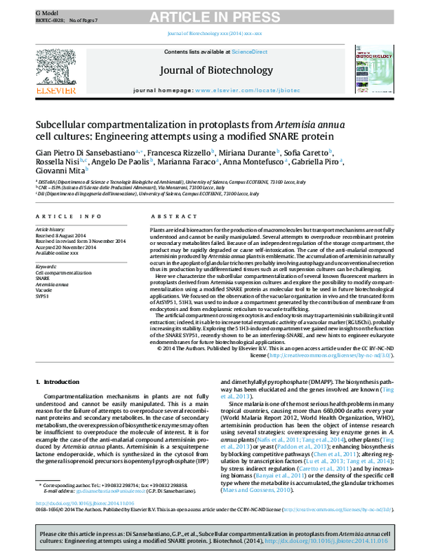 (PDF) Subcellular compartmentalization in protoplasts from Artemisia ...