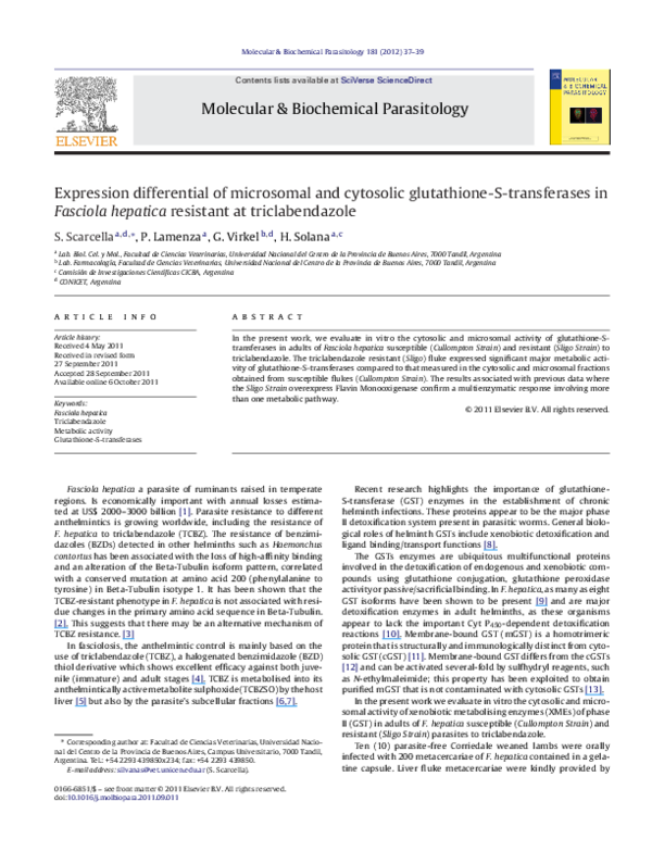 Human fascioliasis image