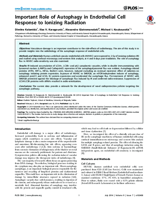 (PDF) Important Role of Autophagy in Endothelial Cell Response to ...