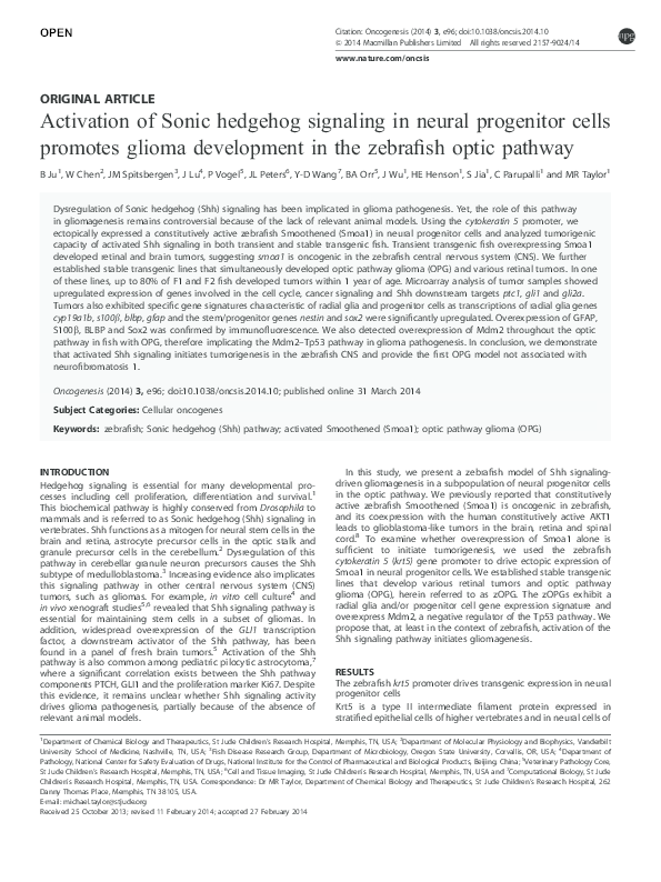 (PDF) Activation of Sonic hedgehog signaling in neural progenitor cells ...