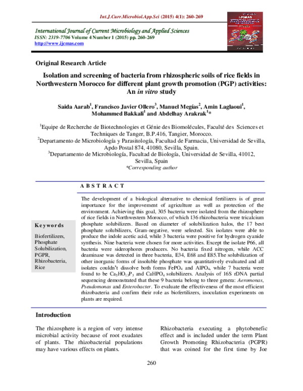 (PDF) Isolation and screening of bacteria from rhizospheric soils of ...