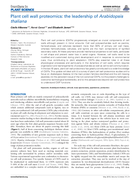 (PDF) Plant cell wall proteomics: the leadership of Arabidopsis thaliana