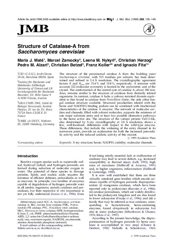 (PDF) Structure of catalase-A from Saccharomyces cerevisiae