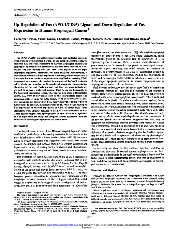 (PDF) Up-Regulation of Fas (APO-1/CD95) Ligand and Down-Regulation of ...