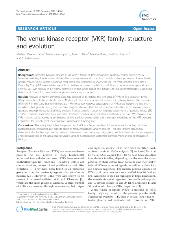 Venus phone store picture