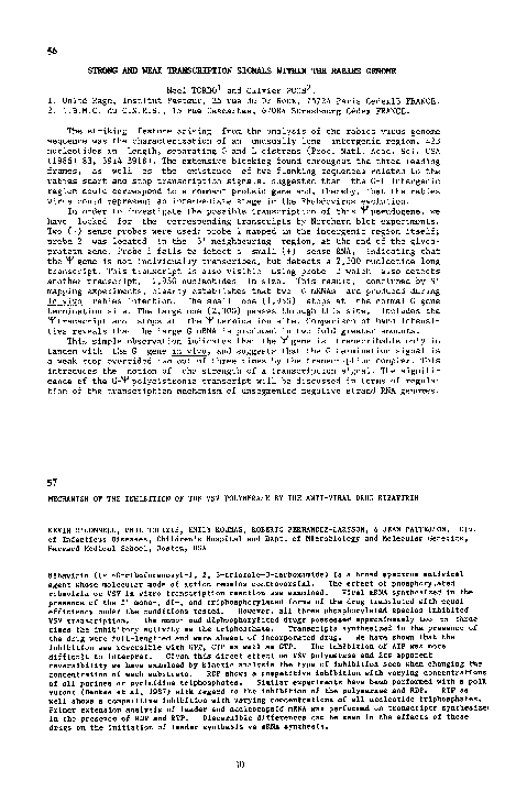 Symptoms of rabies in humans picture