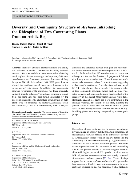 (PDF) Diversity and Community Structure of Archaea in Deep Subsurface ...
