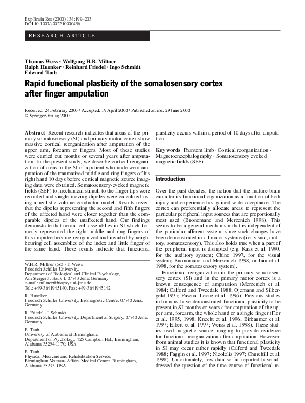 (PDF) Rapid functional plasticity of the somatosensory cortex after ...