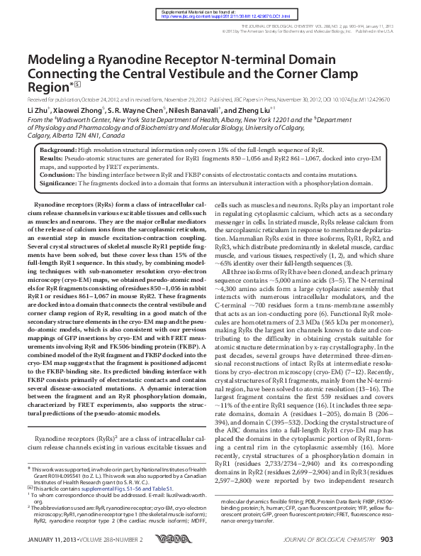 (PDF) Structure of a mammalian ryanodine receptor | Robert Grassucci ...