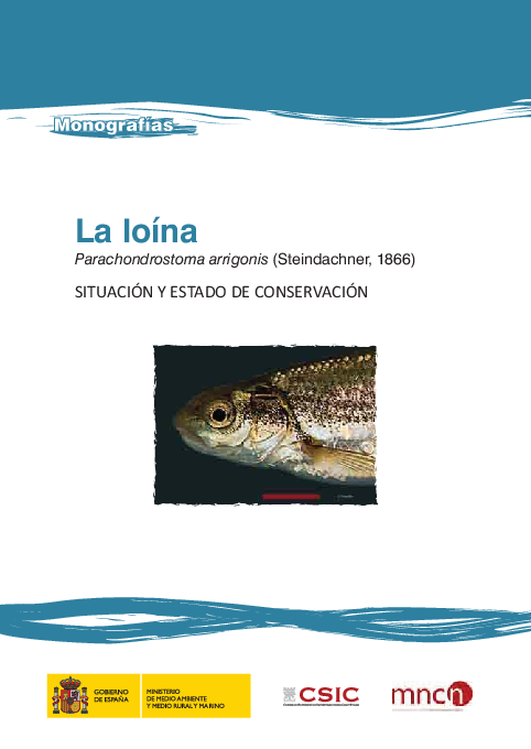 (PDF) La Loína (Parachondrostoma arrigonis, Steindachnder, 1866
