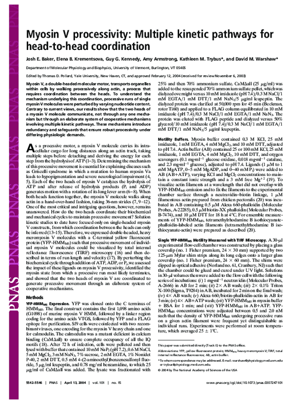 (PDF) Myosin V processivity: Multiple kinetic pathways for head-to-head ...