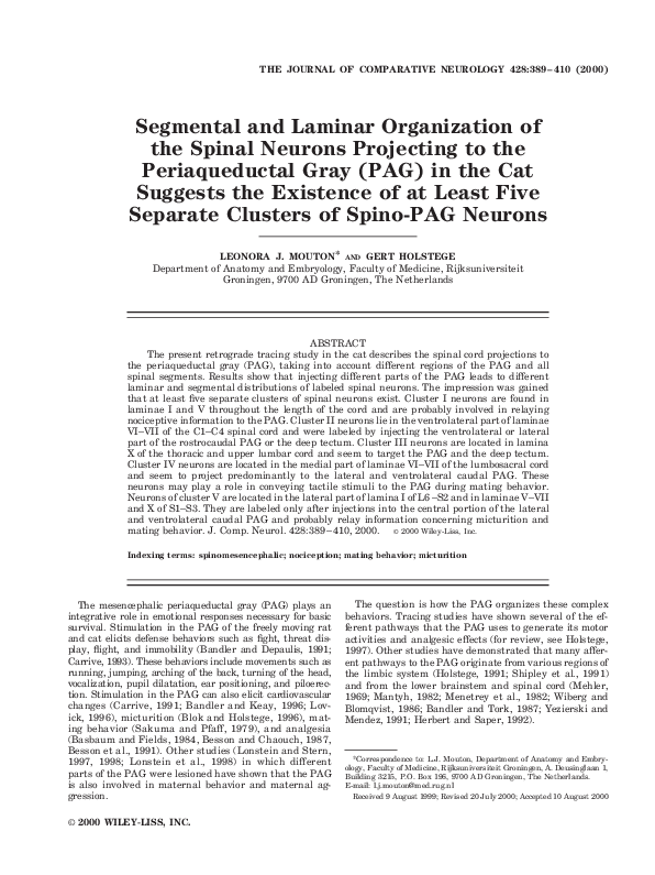 (PDF) Segmental and laminar organization of the spinal neurons ...