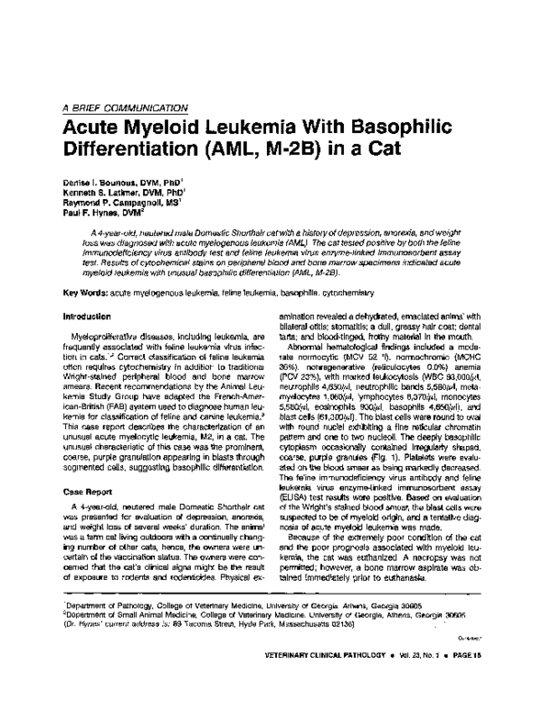 Acute myeloid leukemia survival rate image