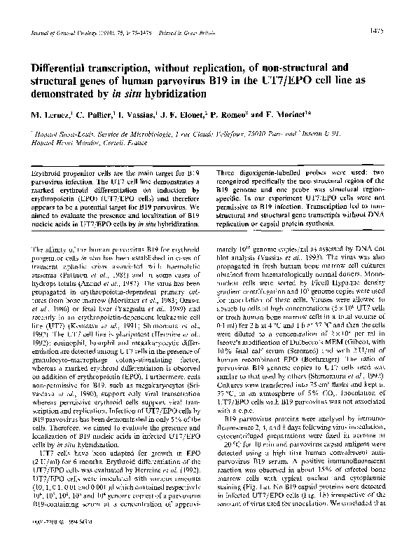 (PDF) Differential transcription, without replication, of non ...