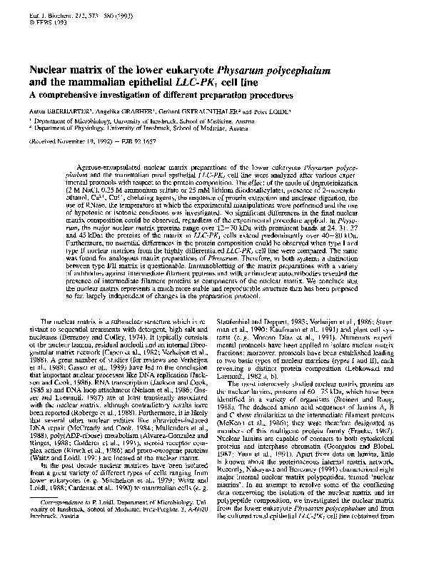 (PDF) Nuclear matrix of the lower eukaryote Physarum polycephalum and ...