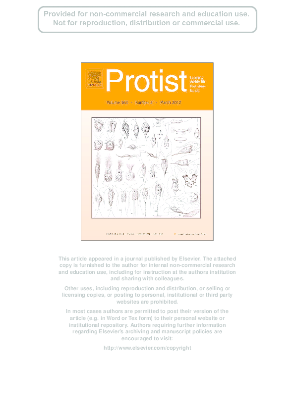 (PDF) Morphology, Ultrastructure and Life Cycle of Vitrella