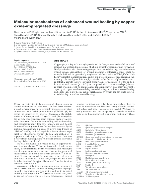 (PDF) Molecular mechanisms of enhanced wound healing by copper oxide ...