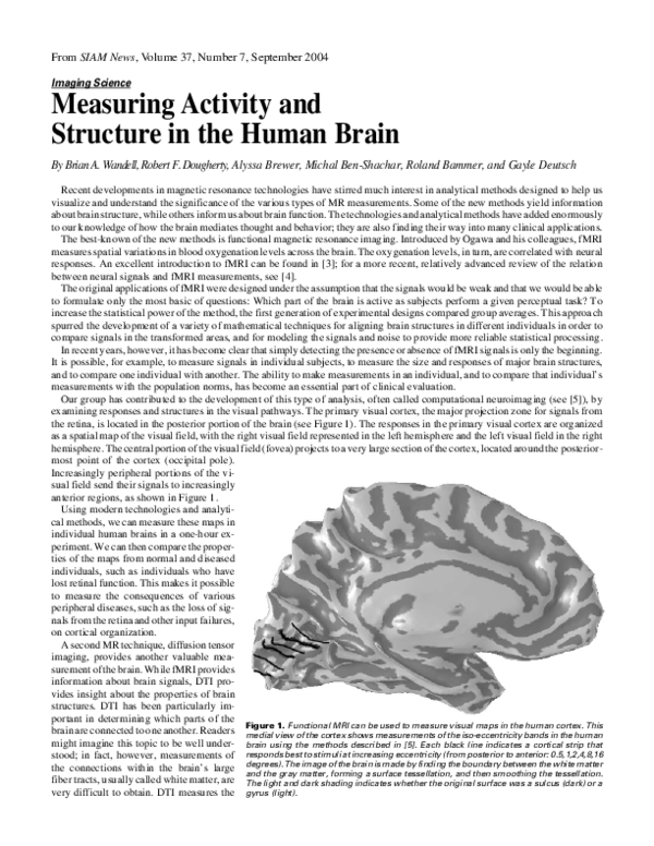 (PDF) Measuring Activity and Structure in the Human Brain