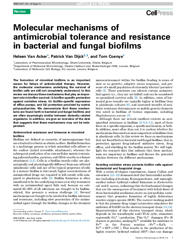 (PDF) Molecular mechanisms of antimicrobial tolerance and resistance in ...