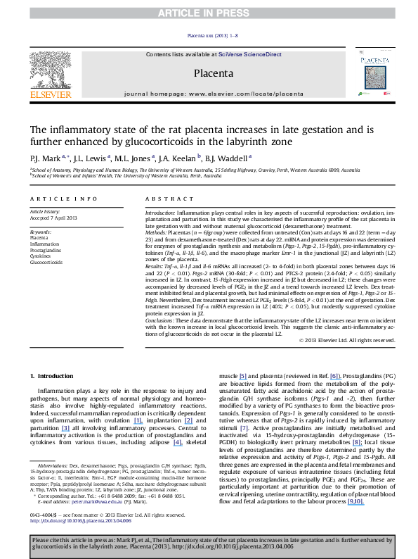 (PDF) The inflammatory state of the rat placenta increases in late ...