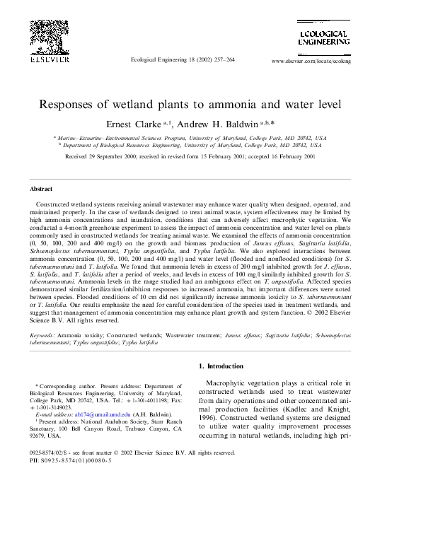 Andrew heywood politics summary picture