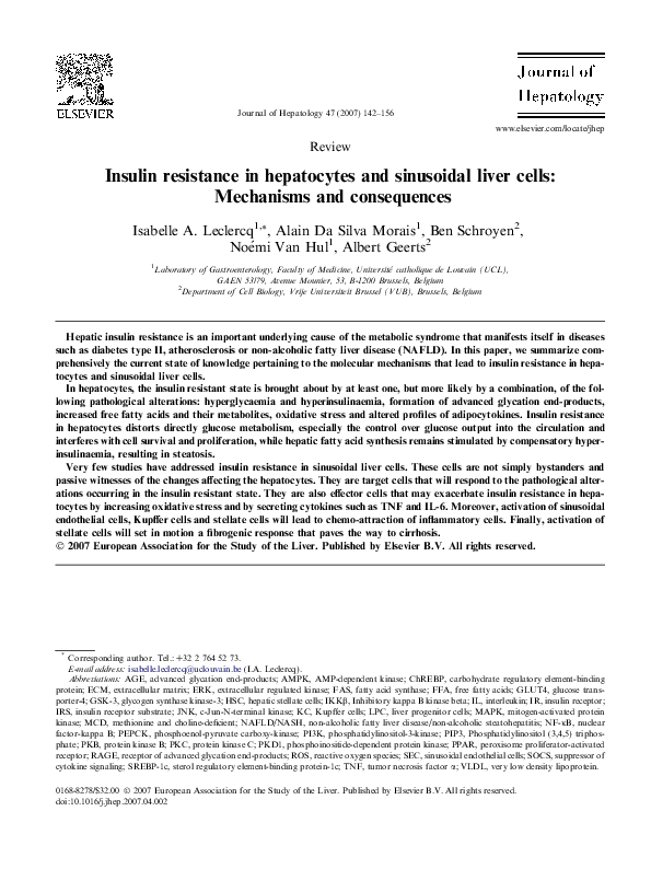 (PDF) Insulin resistance in hepatocytes and sinusoidal liver cells ...