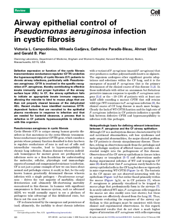 (PDF) Airway epithelial control of Pseudomonas aeruginosa infection in ...