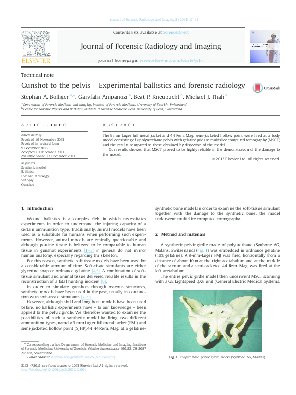 (PDF) Gunshot to the pelvis Experimental ballistics and forensic