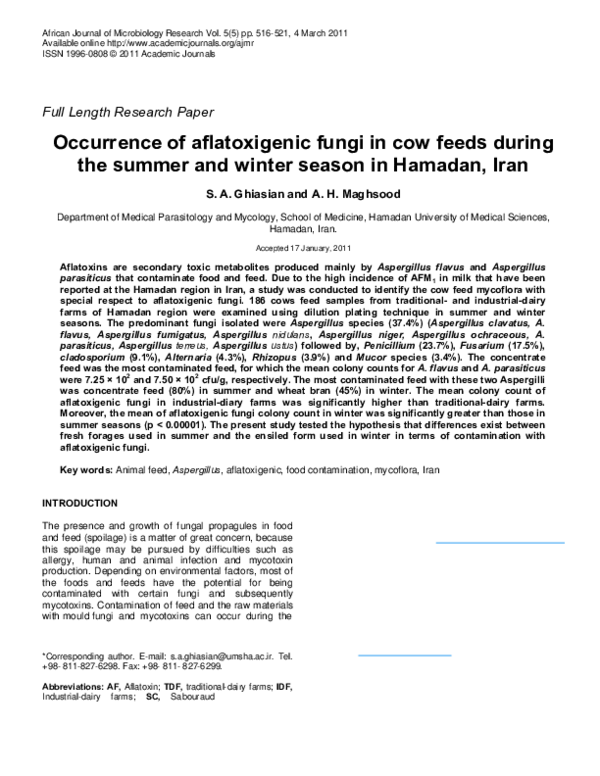 Hamedan tourist attractions image