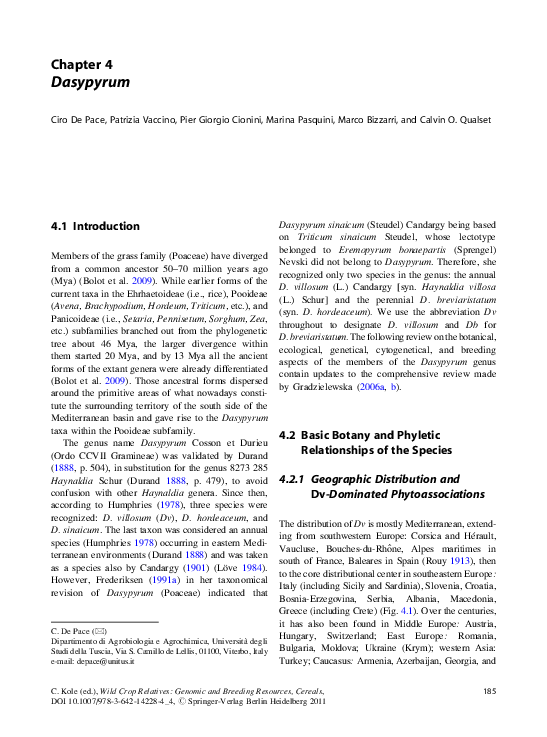 PDF) Dasypyrum