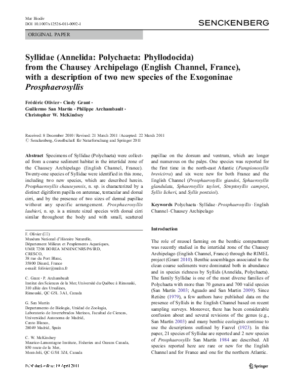 (PDF) Syllidae (Annelida: Polychaeta: Phyllodocida) from the Chausey ...