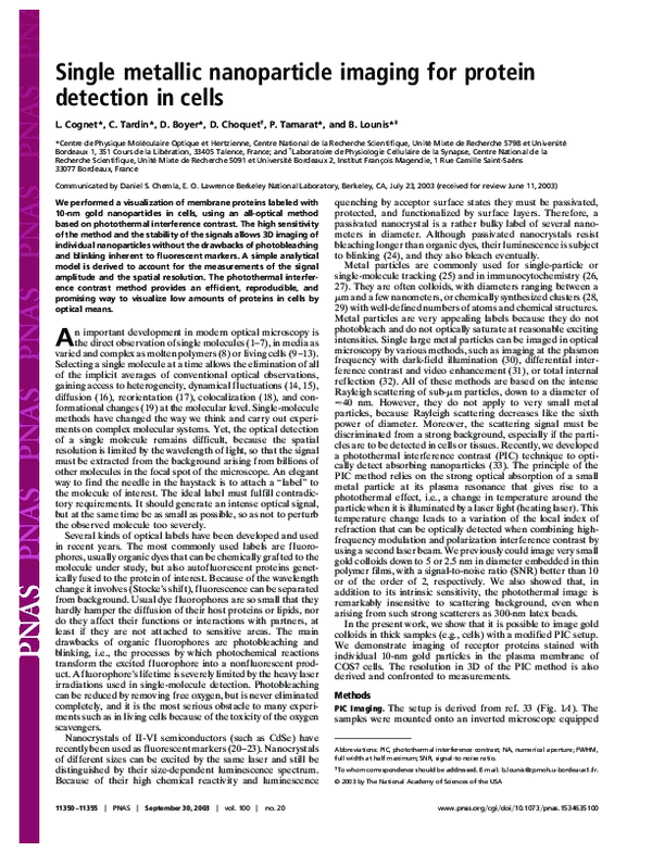 (PDF) Single metallic nanoparticle imaging for protein detection in cells