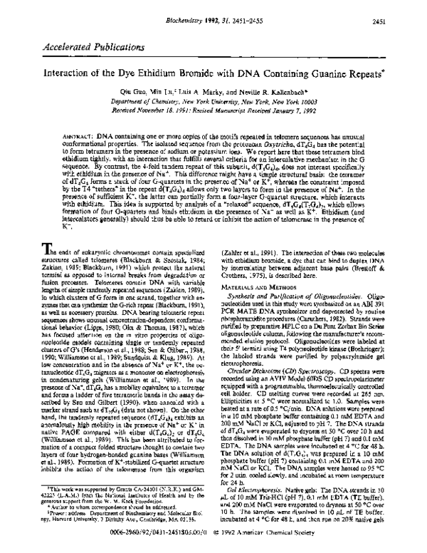 (PDF) Interaction of the dye ethidium bromide with DNA containing ...