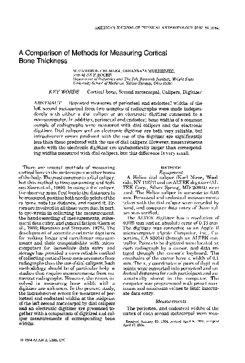 Cortical bone vs cancellous picture