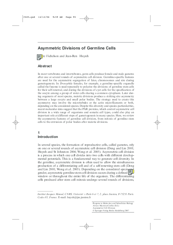 (PDF) Asymmetric Divisions of Germline Cells
