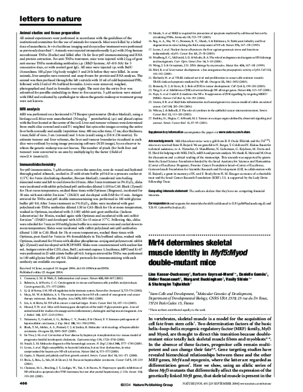 (PDF) Mrf4 determines skeletal muscle identity in Myf5:Myod double ...