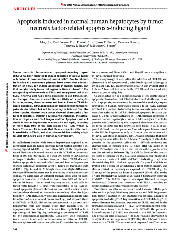(PDF) Apoptosis induced in normal human hepatocytes by tumor necrosis ...