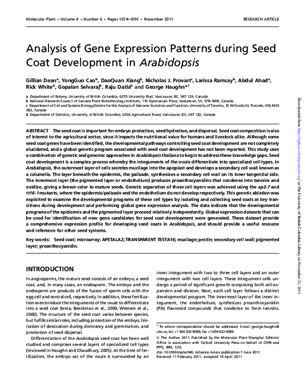 (PDF) Analysis of Gene Expression Patterns during Seed Coat Development ...