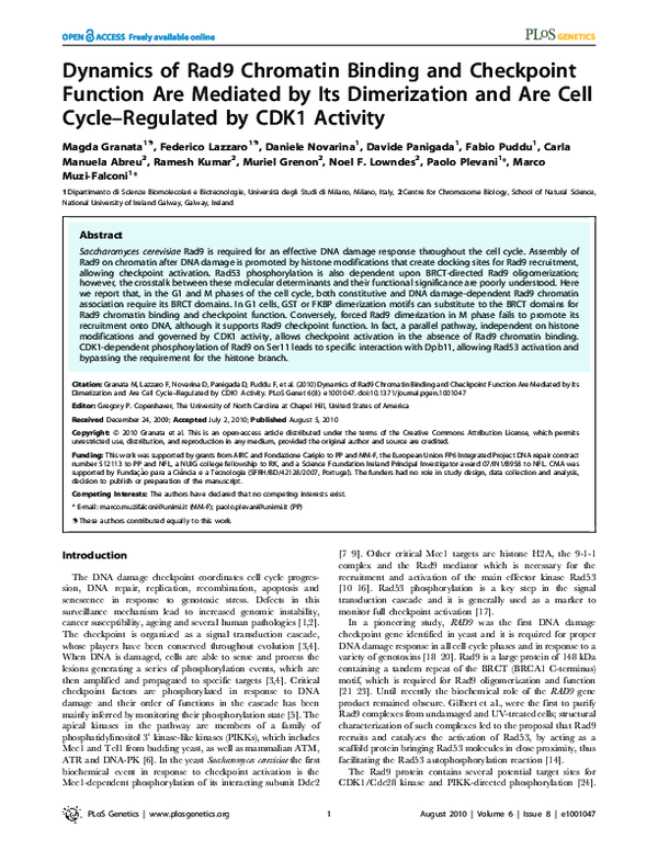 (PDF) Dynamics of Rad9 Chromatin Binding and Checkpoint Function Are ...
