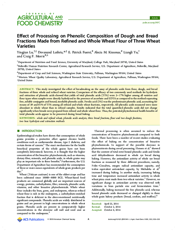 (PDF) Effect of Processing on Phenolic Composition of Dough and Bread ...