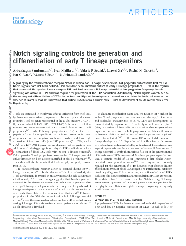 (PDF) Notch signaling controls the generation and differentiation of ...