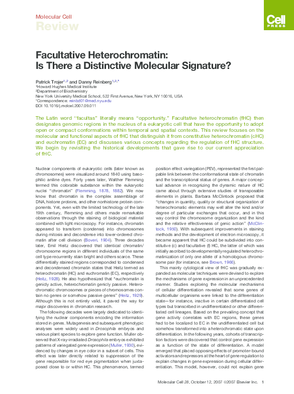 Heterochromatin and gene expression picture