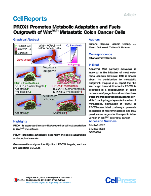 (PDF) PROX1 promotes metabolic adaptation and fuels outgrowth of Wnt ...
