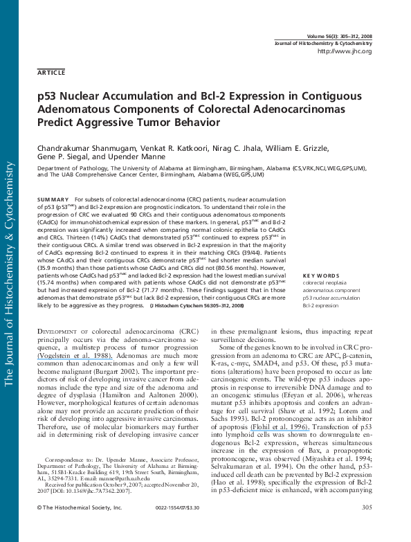 (PDF) p53 Nuclear Accumulation and Bcl-2 Expression in Contiguous ...