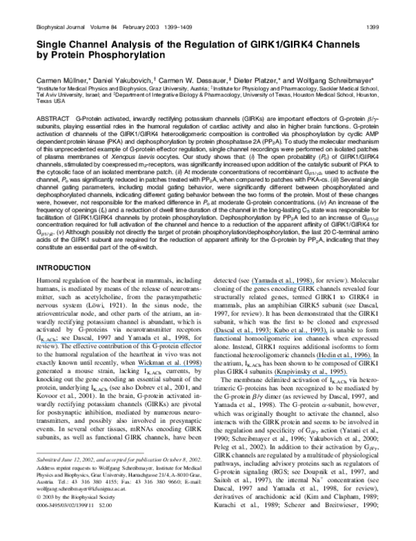 (PDF) Single Channel Analysis of the Regulation of GIRK1/GIRK4 Channels ...