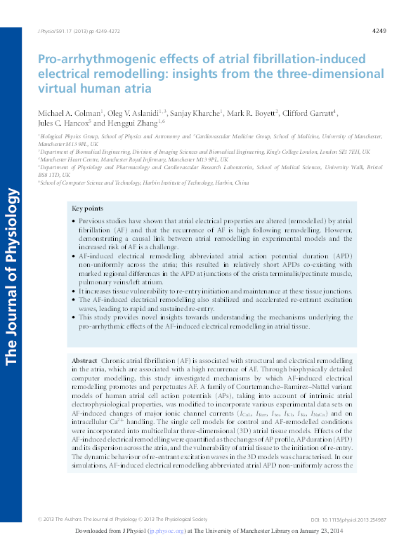 (PDF) Pro-arrhythmogenic effects of atrial fibrillation-induced ...