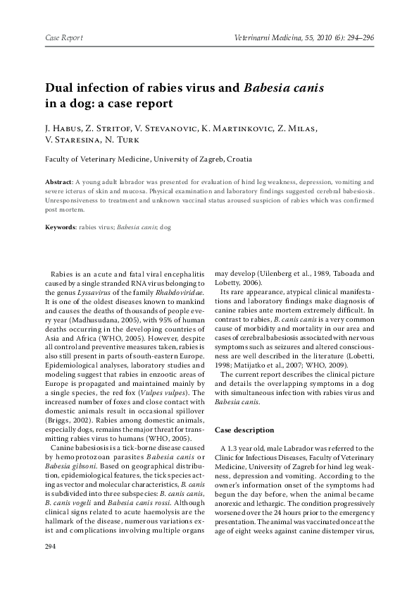 Rabies virus mechanism of infection picture